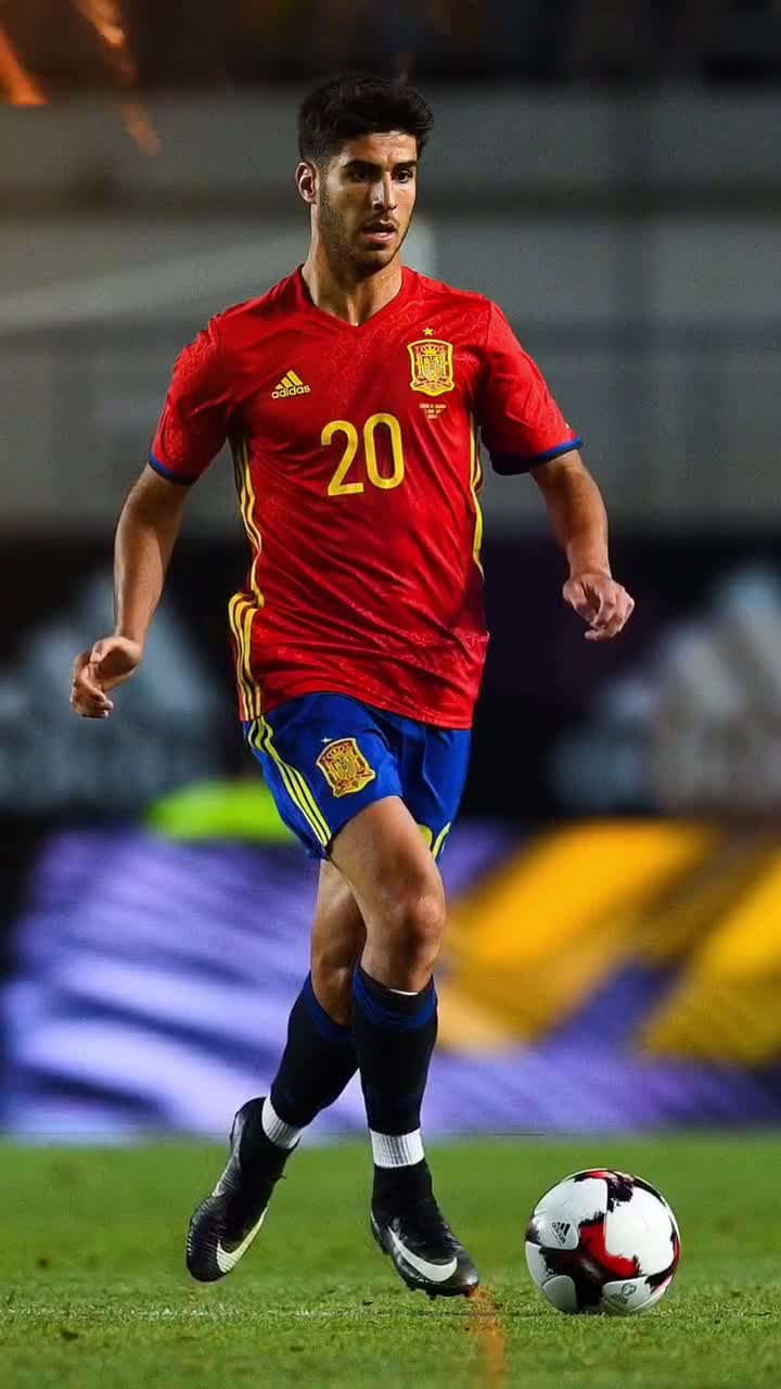 斩龙还是跟 斩龙还是跟